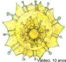 grao de luz e grio