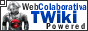 TWiki - Ambiente Web Colaborativo